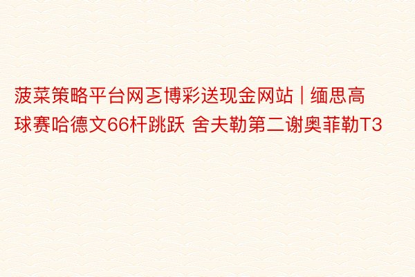 菠菜策略平台网乤博彩送现金网站 | 缅思高球赛哈德文66杆跳跃 舍夫勒第二谢奥菲勒T3