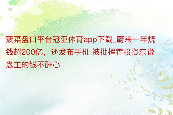 菠菜盘口平台冠亚体育app下载_蔚来一年烧钱超200亿，还发布手机 被批挥霍投资东说念主的钱不醉心