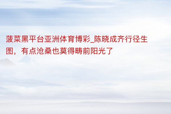菠菜黑平台亚洲体育博彩_陈晓成齐行径生图，有点沧桑也莫得畴前阳光了